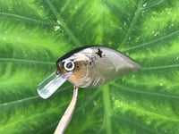 Image 5 of SPEEDBAITS Custom Airbrushed LC2.5 Squarebill Crankbait 3811
