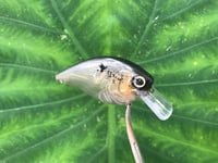 Image 6 of SPEEDBAITS Custom Airbrushed LC2.5 Squarebill Crankbait 3811