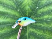 Image 1 of SPEEDBAITS Custom Airbrushed LC 1.5 Squarebill Crankbait 3922