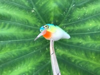 Image 3 of SPEEDBAITS Custom Airbrushed LC 1.5 Squarebill Crankbait 3922