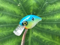 Image 4 of SPEEDBAITS Custom Airbrushed LC 1.5 Squarebill Crankbait 3922