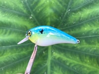 Image 5 of SPEEDBAITS Custom Airbrushed LC 1.5 Squarebill Crankbait 3922
