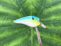 Image 6 of SPEEDBAITS Custom Airbrushed LC 1.5 Squarebill Crankbait 3922