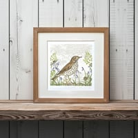 Image 2 of SONG THRUSH ART PRINT