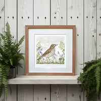 Image 1 of SONG THRUSH ART PRINT