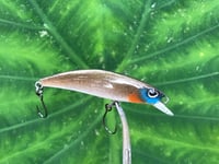 Image 2 of SPEEDBAITS Custom Airbrushed BFS Jerkbait 4009