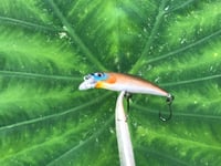 Image 3 of SPEEDBAITS Custom Airbrushed BFS Jerkbait 4009