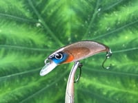 Image 4 of SPEEDBAITS Custom Airbrushed BFS Jerkbait 4009