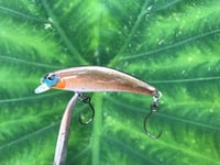 Image 5 of SPEEDBAITS Custom Airbrushed BFS Jerkbait 4009