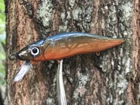 Image 4 of SPEEDBAITS Custom Airbrushed TA 110 Jerkbait SUSPEND 4231