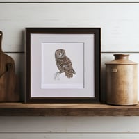 Image 3 of TAWNY OWL ART PRINT