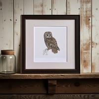 Image 1 of TAWNY OWL ART PRINT