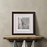 Image 3 of  NUTHATCH ART PRINT