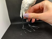Image 5 of Great Egret Figurine