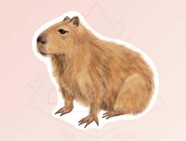 Image of Capybara - Sticker