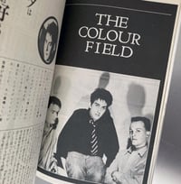 Image 16 of Fool's Mate No. 49