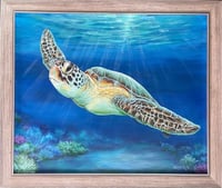 Image 3 of Green SeaTurtle