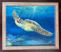Image 4 of Green SeaTurtle