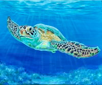 Image 2 of Green SeaTurtle