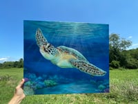 Image 1 of Green SeaTurtle
