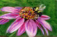 Image 1 of "A Soft Bumble"