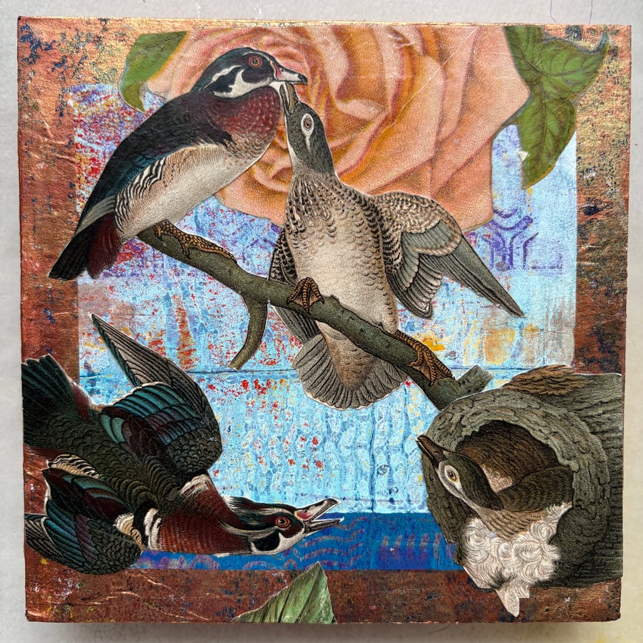 Image of Collage on Cradled Wood Panel WOOD DUCKS 6" x 6"