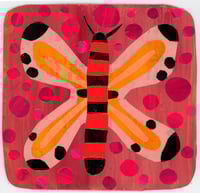 Image 1 of butterfly