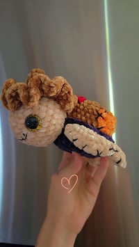 Image 5 of Turtle In A Scarecrow Costume 