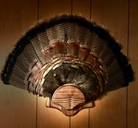 Image 1 of Turkey Fan Wall Plaques