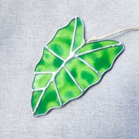 Image 1 of Light Green Alocasia Leaf Suncatcher