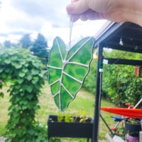 Image 2 of Light Green Alocasia Leaf Suncatcher
