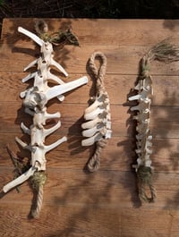 Image 4 of Forest Beasts