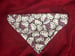 Image of Bow Cat Pet Bandana