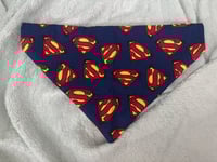 Image 1 of Super Pet Bandana