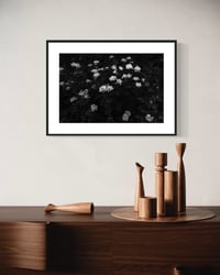 Image 2 of Flower Garden 
