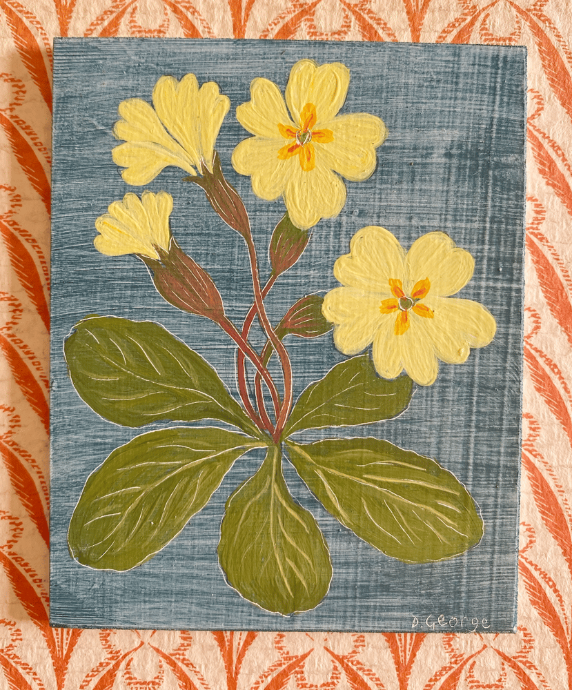 Image of Small Primrose Study
