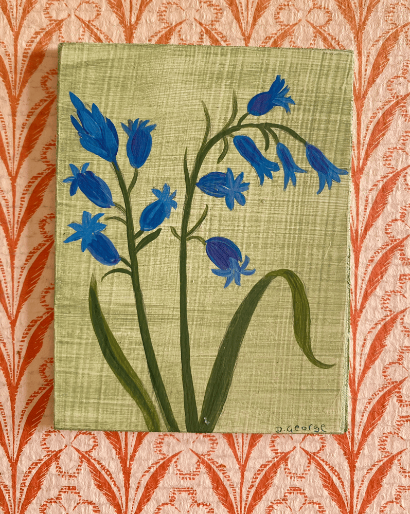 Image of Small Bluebell study