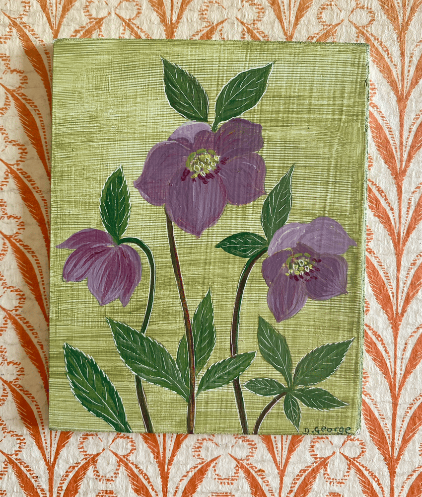 Image of Small Hellebore study