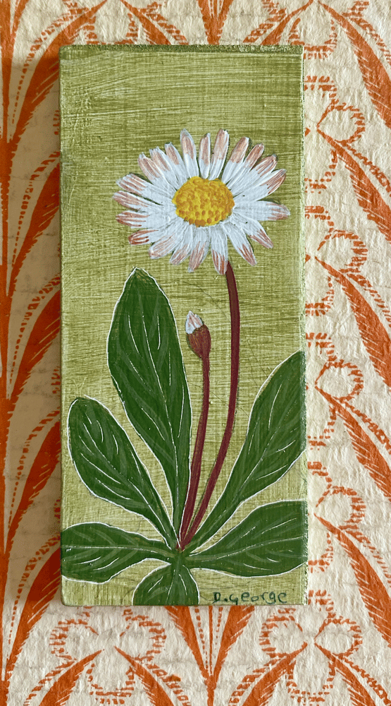 Image of Tiny Daisy study