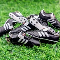 Image 3 of Copa Mundial