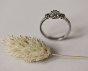Image of *SALE was £2750* Platinum, pale grey diamond Trilogy ring with horn texture band (LON256)