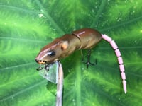 Image 1 of SPEEDBAITS Custom Airbrushed  RAT Wakebait 