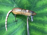 Image 3 of SPEEDBAITS Custom Airbrushed  RAT Wakebait 