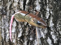 Image 14 of SPEEDBAITS Custom Airbrushed  RAT Wakebait 