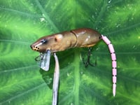 Image 8 of SPEEDBAITS Custom Airbrushed  RAT Wakebait 