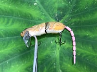 Image 9 of SPEEDBAITS Custom Airbrushed  RAT Wakebait 