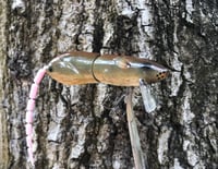 Image 17 of SPEEDBAITS Custom Airbrushed  RAT Wakebait 