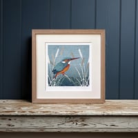 Image 2 of KINGFISHER  ART PRINT