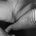 Image of (Daido Moriyama) (Tights)