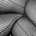 Image of (Daido Moriyama) (Tights)